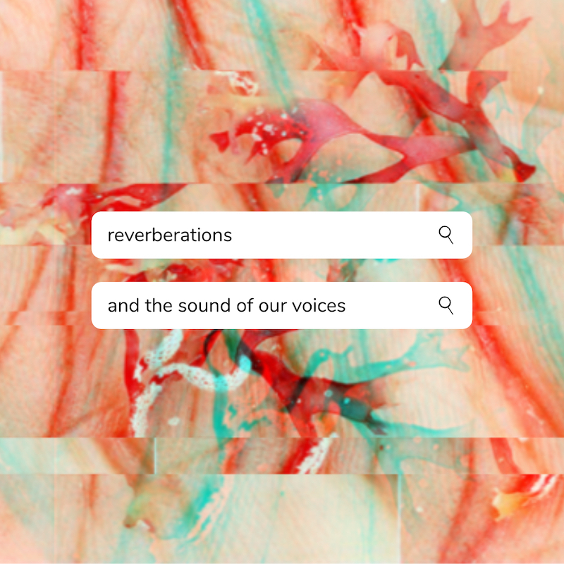 Reverberations And The Sound Of Our Voices